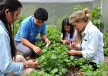 Fatec em Hortolândia