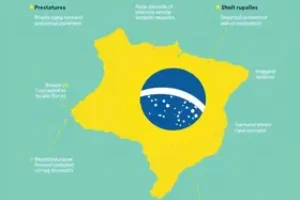 resultados do Enem 2026