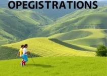 curso preparatório gratuito do Encceja 2026