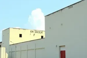 Encceja PPL